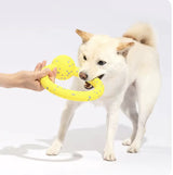 Durable Dog Tennis Balls for Aggressive Chewers - Bite-Resistant Teething Toys