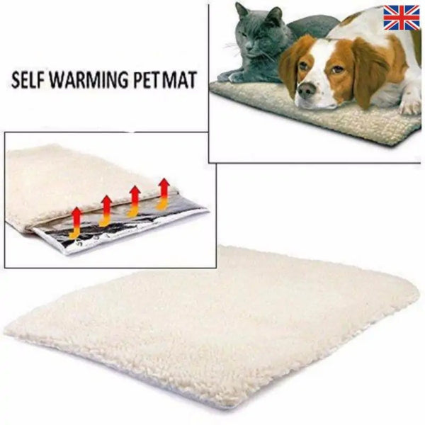 Comforting Warmth For Your Beloved Pet